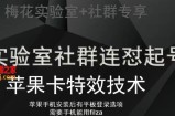 梅花实验室社群视频号连怼起号玩法，最新苹果卡特效技术
