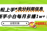 每月多赚1w+，新手小白如何充分利用信息赚钱，全程实操！【揭秘】