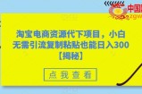 淘宝电商资源代下项目，小白无需引流复制粘贴也能日入300＋【揭秘】