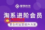 淘系进阶课程，快速提升突破技能流量瓶颈必备（更新2023年5月）