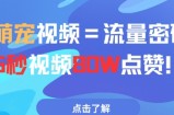 AI萌宠视频=流量密码5秒视频80w点赞