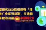 搜索引擎排名SEO培训课程「搜索引擎推广全系可复制，打造精准被动流量系统」