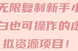 无限复制新手小白也可操作的虚拟资源项目！【视频教程】