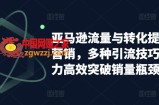 亚马逊流量与转化提升整合营销，多种引流技巧讲解助力高效突破销量瓶颈