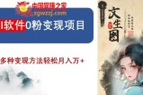 AI软件0粉变现项目，0基础2024年风口项目，轻松月入万+【揭秘】