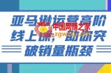 亚马逊运营高阶线上课，助你突破销量瓶颈