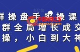 社群实操课程，社群全局增长成交实操，小白到大神