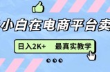 全新无货源电商0成本费电子商务，新手入门能做，后面帮扶打满，细腻课堂教学