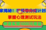 独家揭秘！视频号分成计划曝光，掌握心理测试玩法，快速实现1000元收益【揭秘】