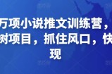 森罗万项小说推文训练营，万年常青树项目，抓住风口，快速变现