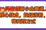 2024抖音创新小众赛道上热门核心技术，超级涨粉，多种变现方式【揭秘】
