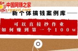 新个体 搞钱案例 库，可以直接抄作业 如何赚到第一个100w（29节视频+文档）
