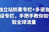 外贸独立站防黑专栏+多语言独立站建设专栏，手把手教你如何赚取全球流量