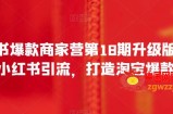 小红书爆款商家营第18期升级版，用小红书引流，打造淘宝爆款