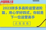 2023拼多多高阶运营进阶篇，用心学好四式，你就是下一位运营高手