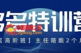纪主任·5月最新多多特训营高阶班，玩法落地实操，多多全掌握