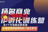 王扬名·商业IP孵化训练营，从商业到内容到转化一站式学习