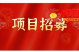 高鹏圈·蓝海中视频项目，长期项目，字节不倒，就可以一直做