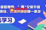 拆解抖音短视频：“毒”文案升级版副业项目，从制作到变现一条龙