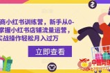 百宝电商小红书训练营，新手从0-1快速掌握小红书店铺流量运营，实战操作轻松月入过万