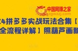 2024拼多多实战玩法合集【0-1全流程详解】照葫芦画瓢