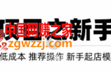 虚拟项目快速起店模式：0成本打造月入几万虚拟店铺
