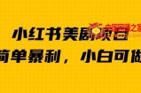 外面卖1980的小红书美剧项目，单日收益1000＋，小众暴利的赛道【揭秘】