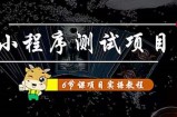 小程序测试项目：从星图、搞笑、网易云、实拍、单品爆破教你通过抖推猫小程序变现