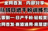 私域日进千粉训练营，全网首发，从0开始带你做好私域，适用于任何赛道，让日产千粉不再是梦