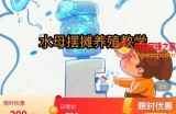 水母摆摊教学，包括摆摊技术、养殖技术、拿货渠道、抖音运营等