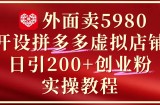 外面卖5980开设拼多多虚拟店铺：单日引流200+创业付费粉实战教程