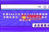价值980小红书日入300突破限制无限私信日+100创业粉项目适合所有行业
