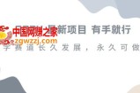 2024超火国学项目，小白速学，月入过万，过个好年【揭秘】