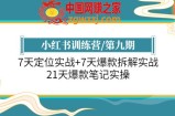 小红书训练营/第九期：7天定位实战+7天爆款拆解实战，21天爆款笔记实操
