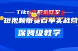 Tiktok精选联盟·短视频带货百单实战营 保姆级教学 快速成为Tiktok带货达人