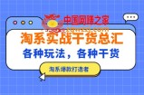 淘系实战干货总汇：各种玩法，各种干货，淘系爆款打造者！