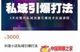 抖音小店私域引爆打法，3天完整的私域流量引爆技术实操课程