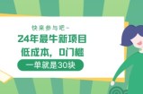 24年最牛新项目，低成本，0门槛 ，一单就是30块，轻松月入1w