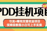 拼多多挂机项目引流+赚钱双重收益项目(保姆级教程小白可上手实操)【揭秘】