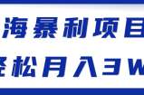 蓝海暴利项目，轻松月入3W+【视频教程】