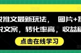 小说推文最新玩法， 图片+搭配小说文案，转化率高，收益稳定