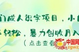 冷门成人识字项目，小白上手轻松，暴力创收月入5w+【揭秘】