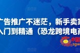 亚马逊广告推广不迷茫，新手卖家产品运营入门到精通（恐龙跨境电商）