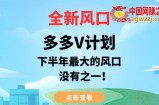 全新风口，多多V计划，下半年最大的风口项目，没有之一【揭秘】