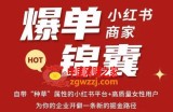 无畏·小红书商家爆单锦囊，掌握小红书各大规则，快速精准抢占行业和市场