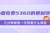 外面收费5360的暴利项目，几分钟就收一次钱是什么体验，附素材【揭秘】