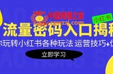 小红书流量密码入口揭秘：带你玩转小红书各种玩法 运营技巧+优化