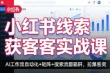小红书线索获客实战课，AI工作流自动化+矩阵+搜索流量霸屏，拉爆客资
