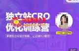 独立站CRO优化训练营，掌握独立站设计秘籍，打造高转化的独立站，让店铺ROI翻倍