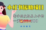 小红书援助项目录课，300-500元每天收益！新手必看教程